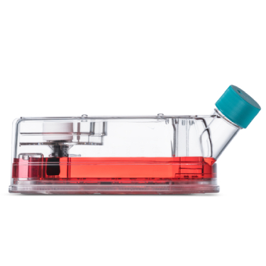 Cell Culture Flasks